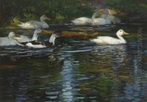 Enten Im Wasser. by Rudolf Schramm-Zittau