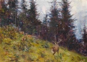 Rotwild Am Waldrand by Rudolf Schramm-Zittau