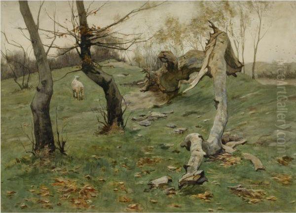 'de Oude Boom In Het Koningsduin' - The Old Tree In The King'sdune - view 1