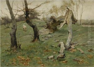'de Oude Boom In Het Koningsduin' - The Old Tree In The King'sdune by Bernard Schregel