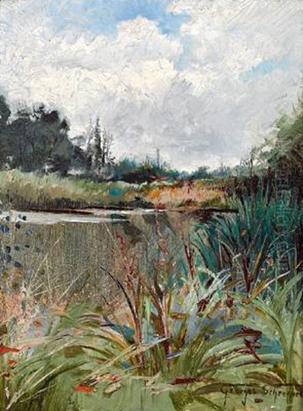 Teichlandschaft - view 1