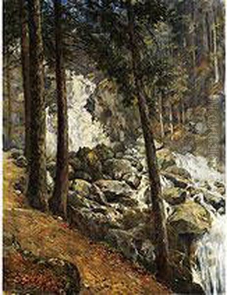 Waldlandschaft Mit Blick Auf Einen Felsigen Wasserfall Unter Baumen - view 1
