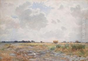 An Open Cornfield An Open Cornfield