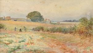 Potato Harvesters Working In The Field Potato Harvesters Working In The Field