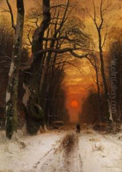 Wanderer In Einer Winterlichen Waldschneise Bei Sonnenuntergang - view 1