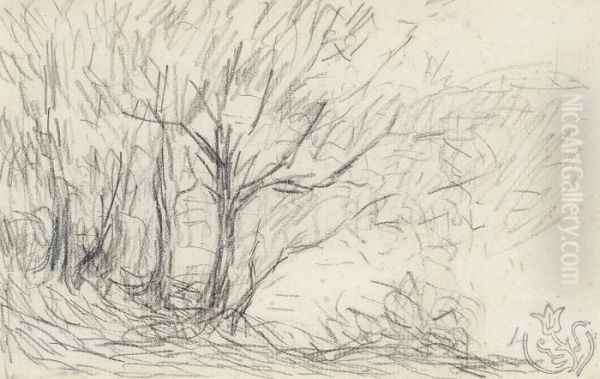 Sous Bois - view 1