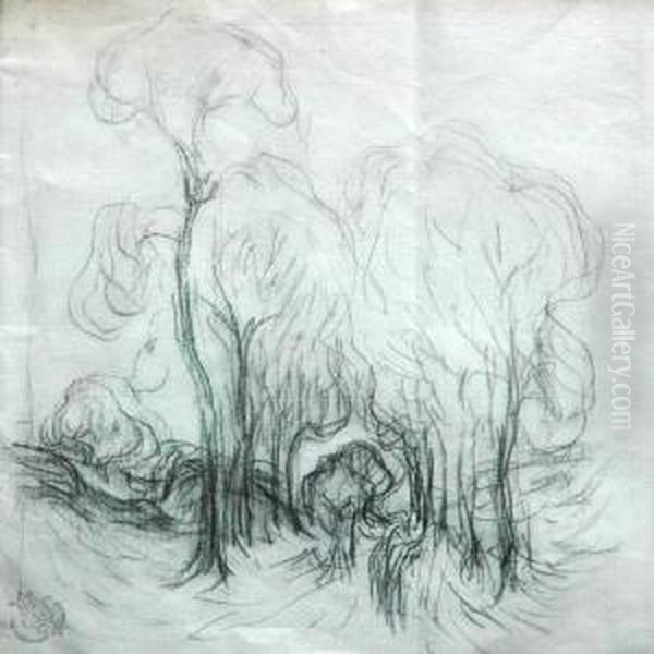 Trees With Path - view 1