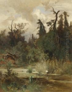 Summer In The Woodlands Of The Au