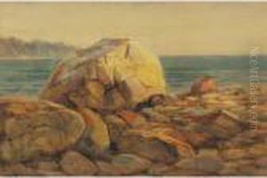Rocky Shore Rocky Shore