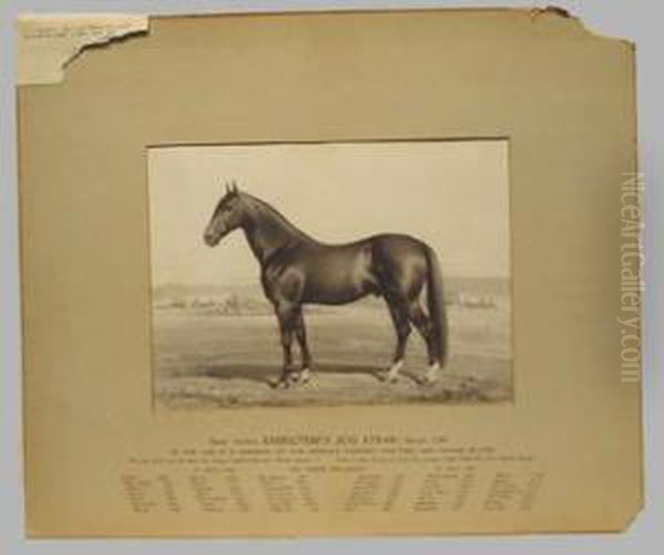 'director's Jug' (black Stallion) - view 1