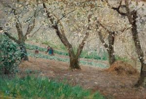Blommande Frukttrad, Suresnes - view 1