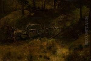 Der Baum by Robert Schultze