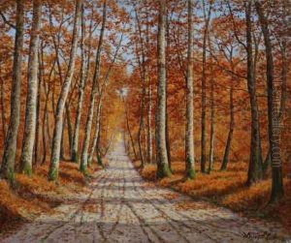 Paysaged'automne De Foret - view 1
