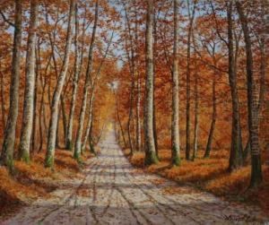 Paysaged'automne De Foret by Adrien Schulz