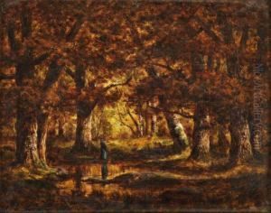 Mare A L'oree Du Bois, Fontainebleau by Adrien Schulz