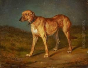 "rhodesian Ridgeback"