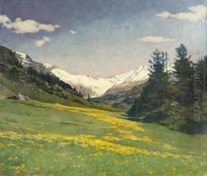 Bergfruhling Im Fextal, Oberengadin