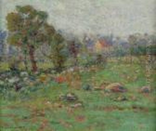 A Rocky Field In Summer - view 1