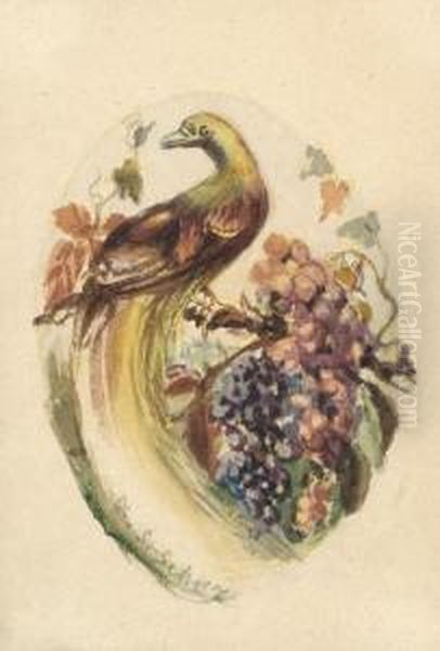 Bird - view 1