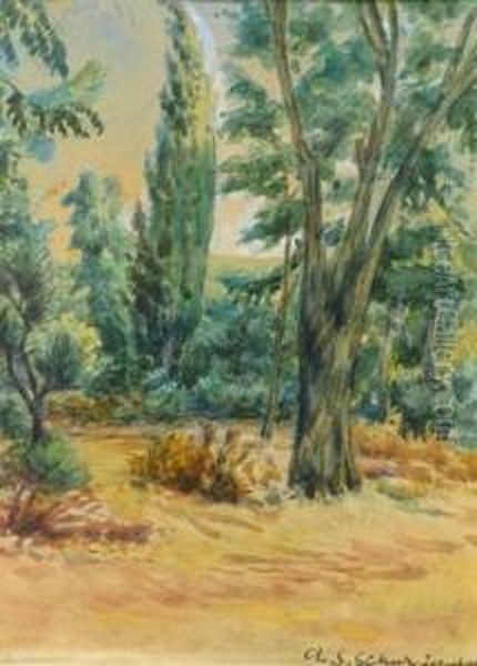 Landscape - view 1