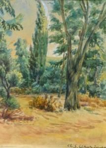 Landscape by Aaron Shaul Schur