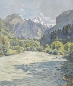 Sommerliche Flusspartie In Einem Alpental