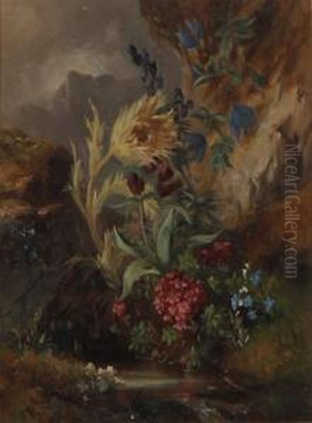 Wildflowers - view 1
