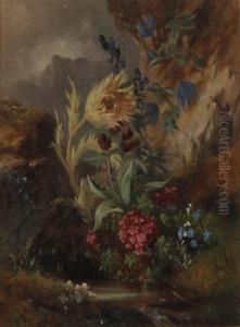 Wildflowers by Josef Schuster