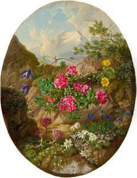 Alpenblumen Vor Gebirgslandschaft - view 1