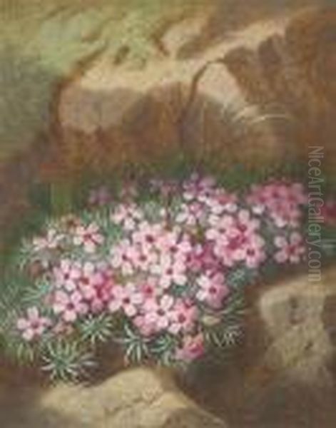 Alpine Flowers - view 1
