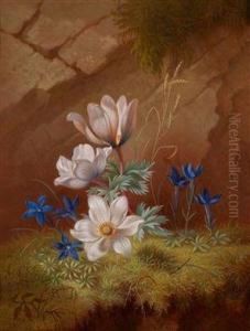 Alpenblumen by Josef Schuster