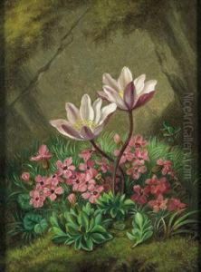 Alpenblumen by Josef Schuster