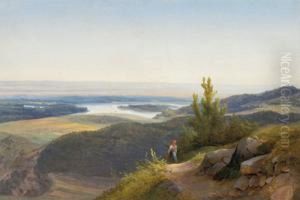 A View Over The Danube by Ludwig Schuster