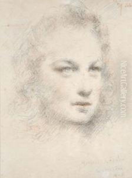 Untitled - view 1