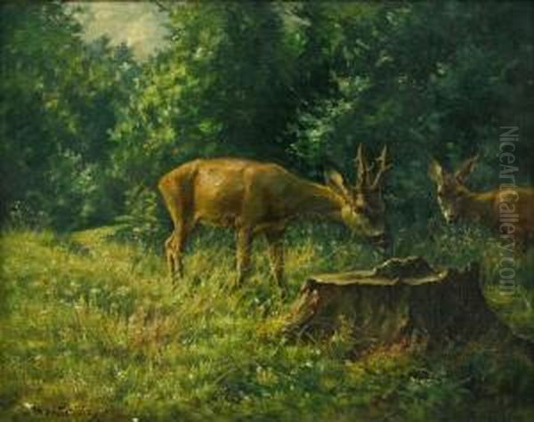 Rehbock Und Ricke Auf Waldlichtung - view 1