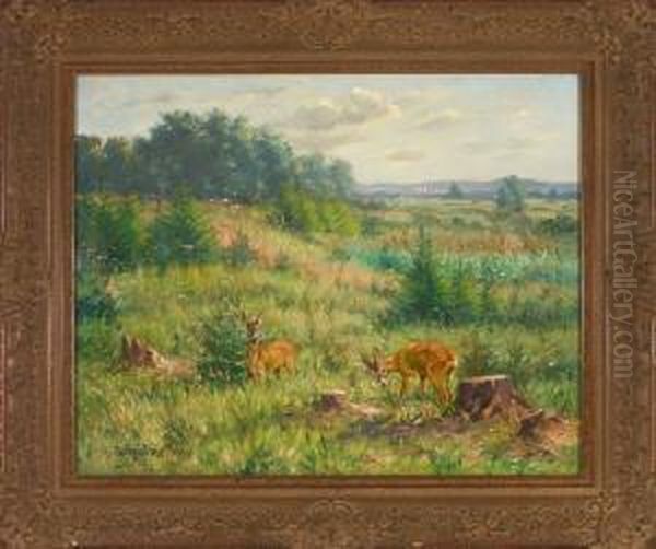 Rehbock Und Ricke Am Waldrand Vor Weiter Landschaft - view 1