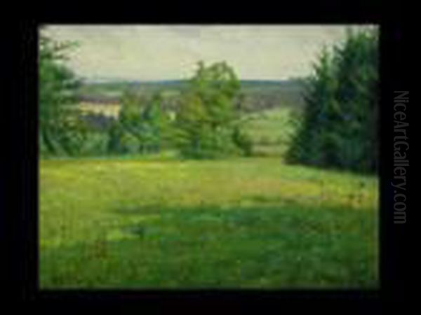 Waldlandschaft - view 1