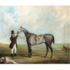 A Grey Racehorse Held By His Owner A Grey Racehorse Held By His Owner