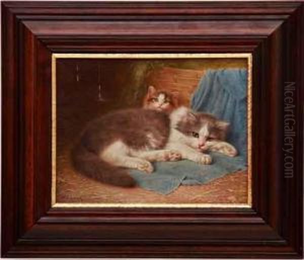Cozy Companions - view 1