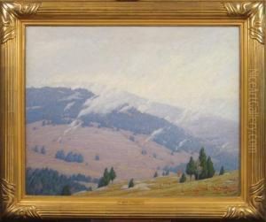 Clearing Morning Blue Ridge Mountains by Andrew Thomas Schwartz