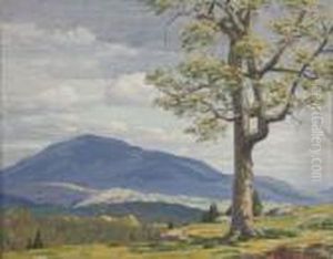 Expansive Summer Landscape by Andrew Thomas Schwartz