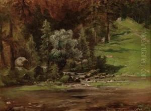 Waldhang Mit Wildbachmundung by Carl I Schweninger