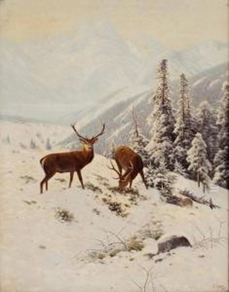 Zur Winterzeit Im Otztal Bei Oberstdorf - Wintermorgen - view 1