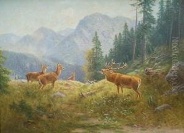 Hirsche Am Konigssee - view 1