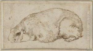 A Guinea Pig by Sinibaldo Scorza