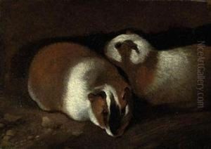 Two Guinea Pigs by Sinibaldo Scorza