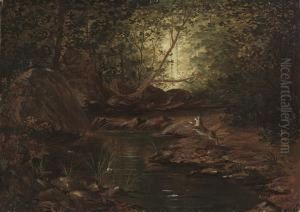 Tiger Hunting In The Jungle, India