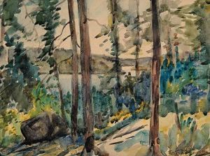 The Burnt Hill, Lake Macara by James Fraser Scott