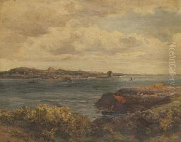 On The Coast - view 1
