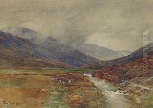 A Border Burn by Tom Scott